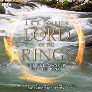 the lord of rings fellowship ring 11 patch